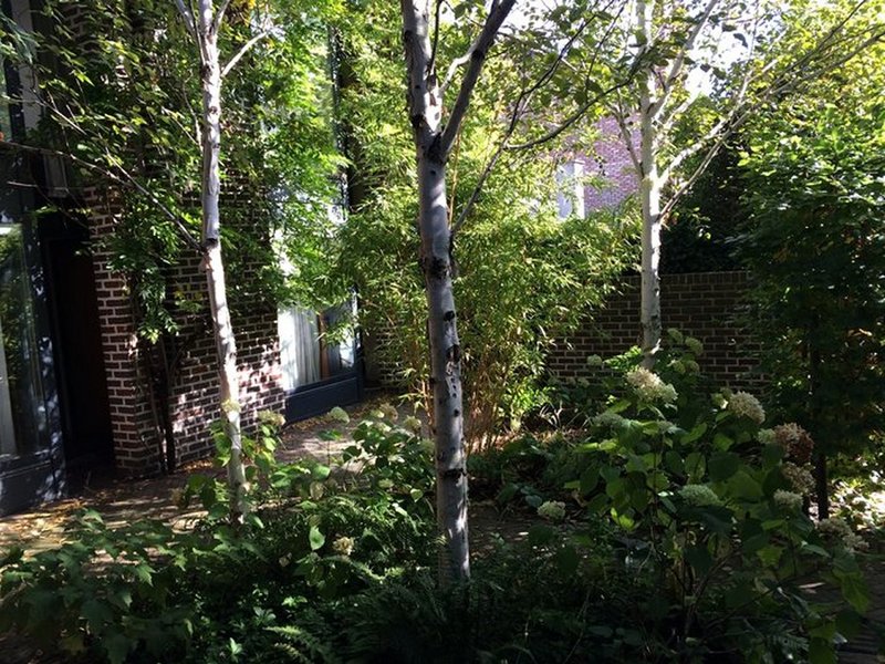 Communal Garden