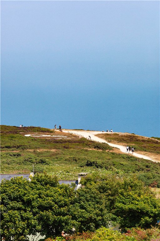 Picture No. 35